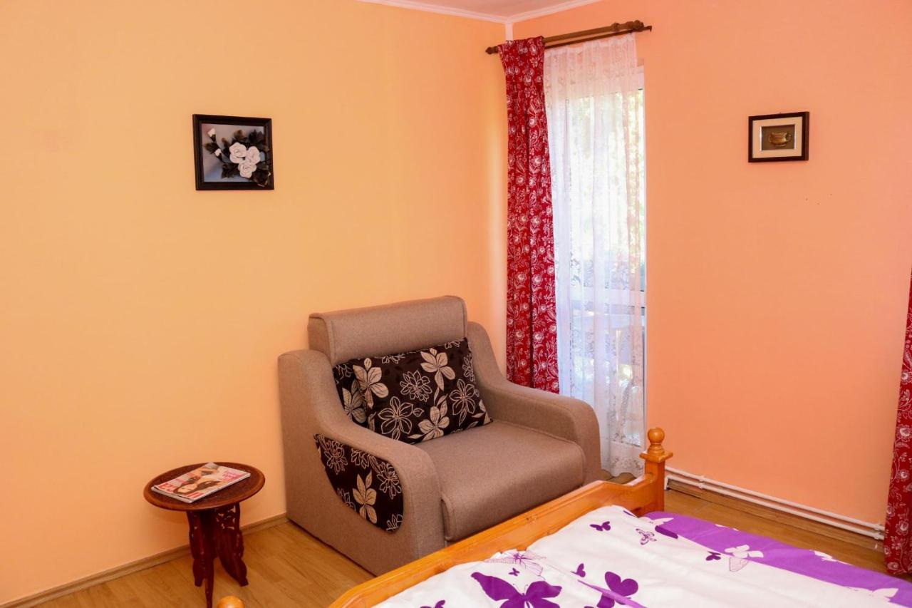 Apartament Iulia Geoagiu Băi Exterior foto