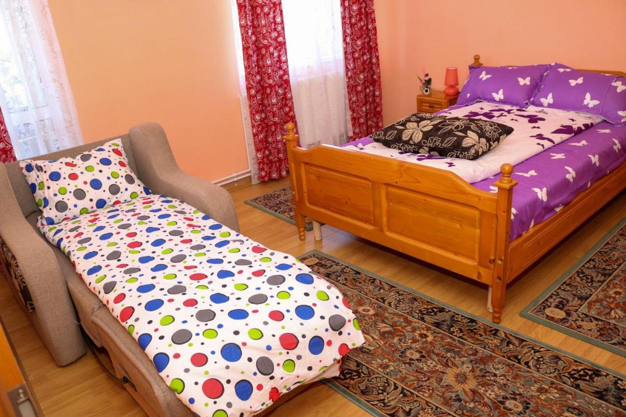 Apartament Iulia Geoagiu Băi Exterior foto