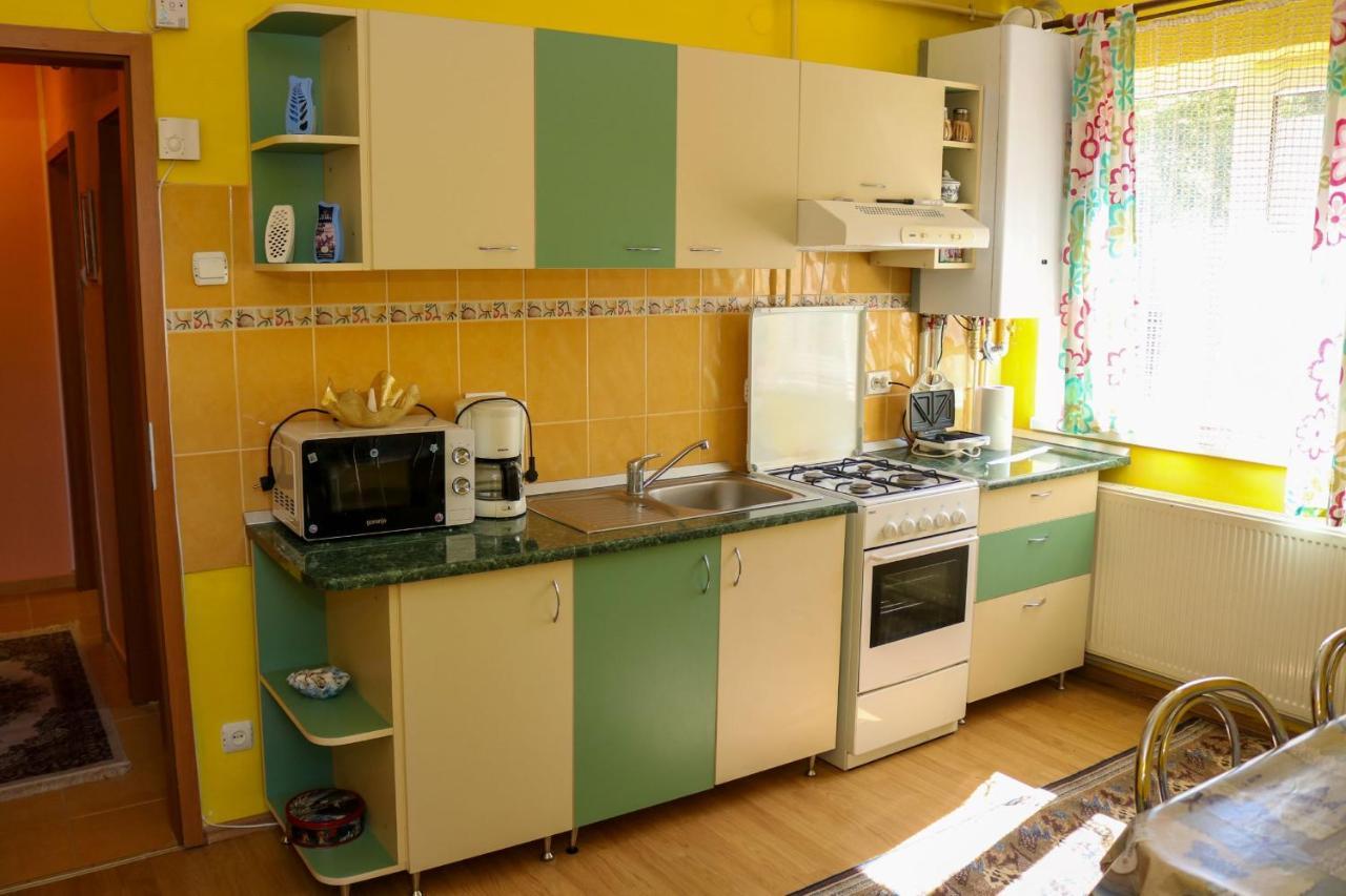 Apartament Iulia Geoagiu Băi Exterior foto